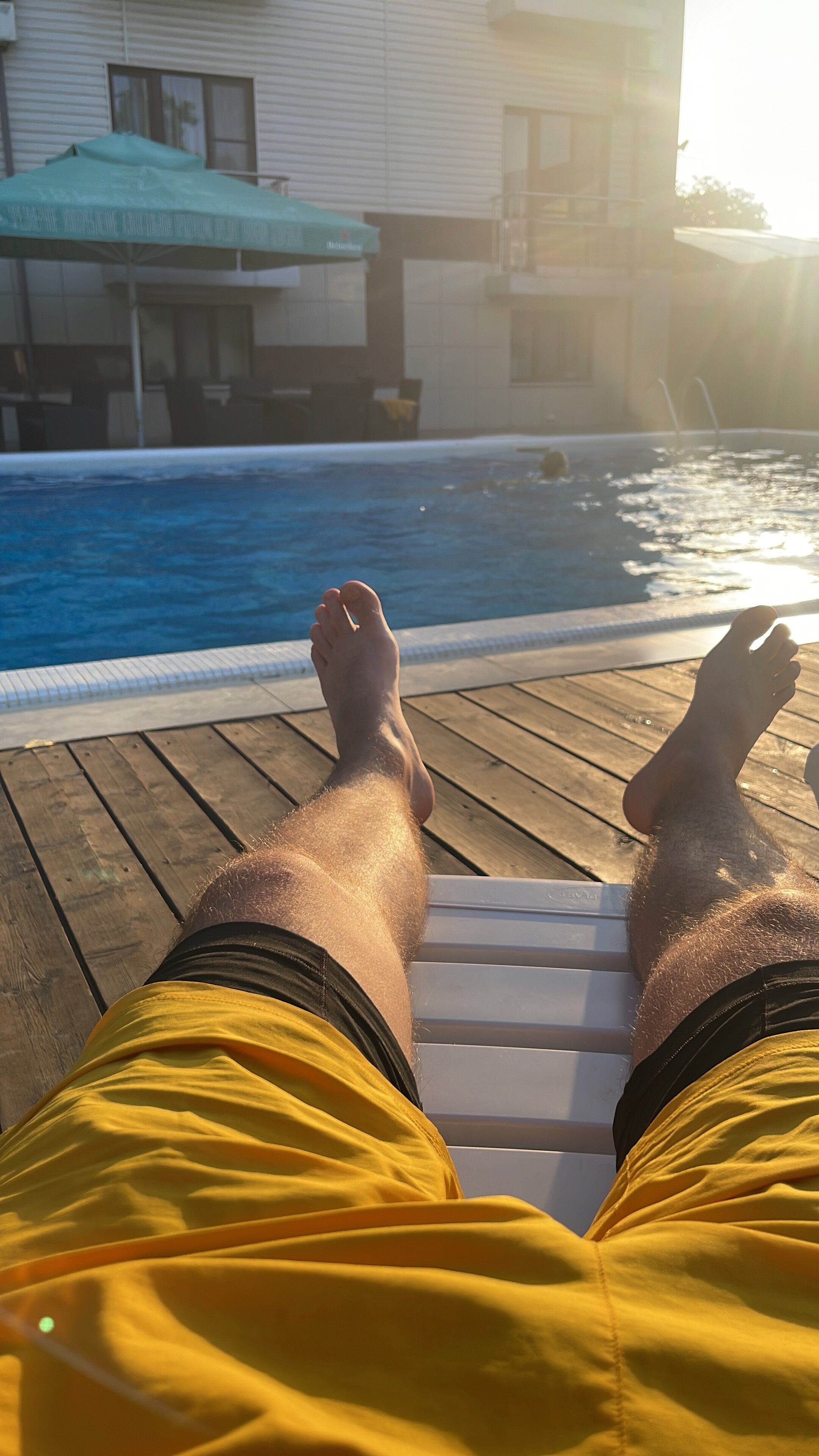 Фото Монарх