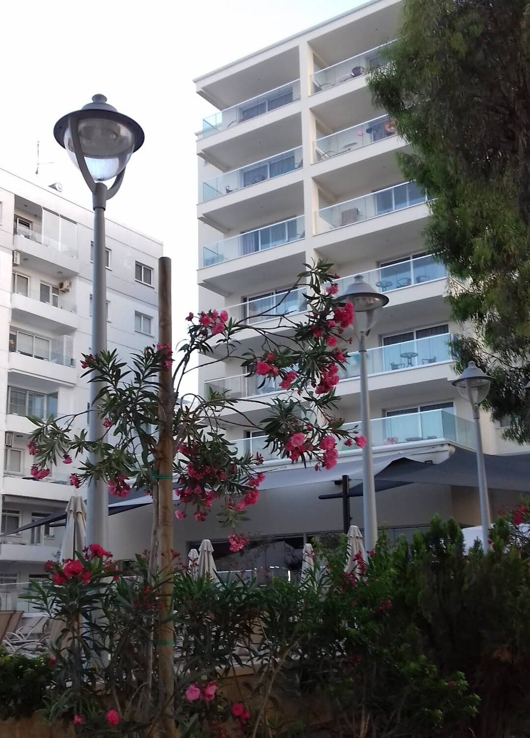 Фото Harmony Bay Hotel