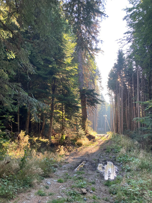 Фото Архыз Шале Хаус