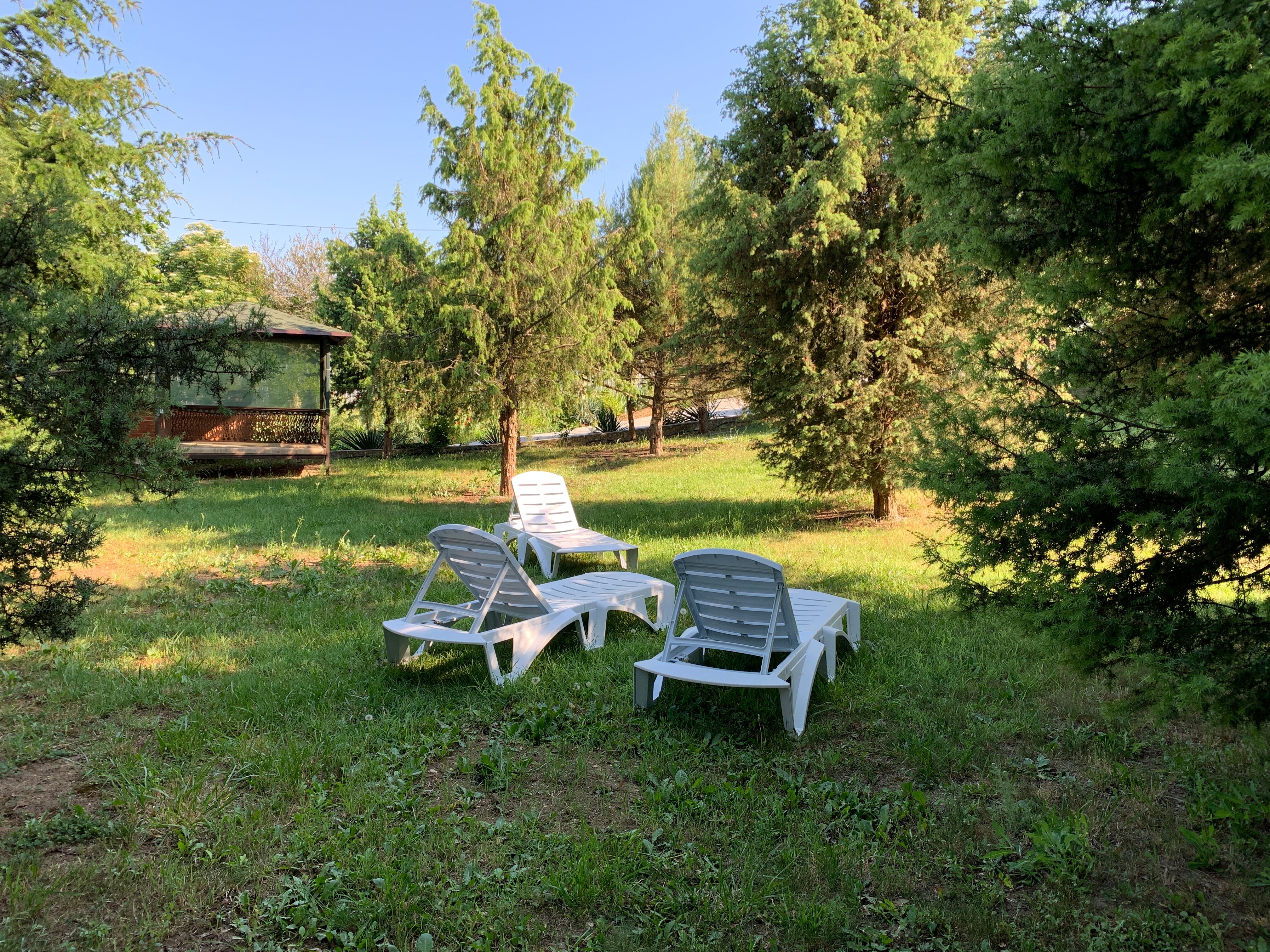 Фото Можжевеловый дворик