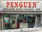 Penguen Dry Cleaning & Laundry (İstanbul, Besiktas District, Cihannüma Mah., Ressam Hamdi Bey Sok., 1B), dry cleaning