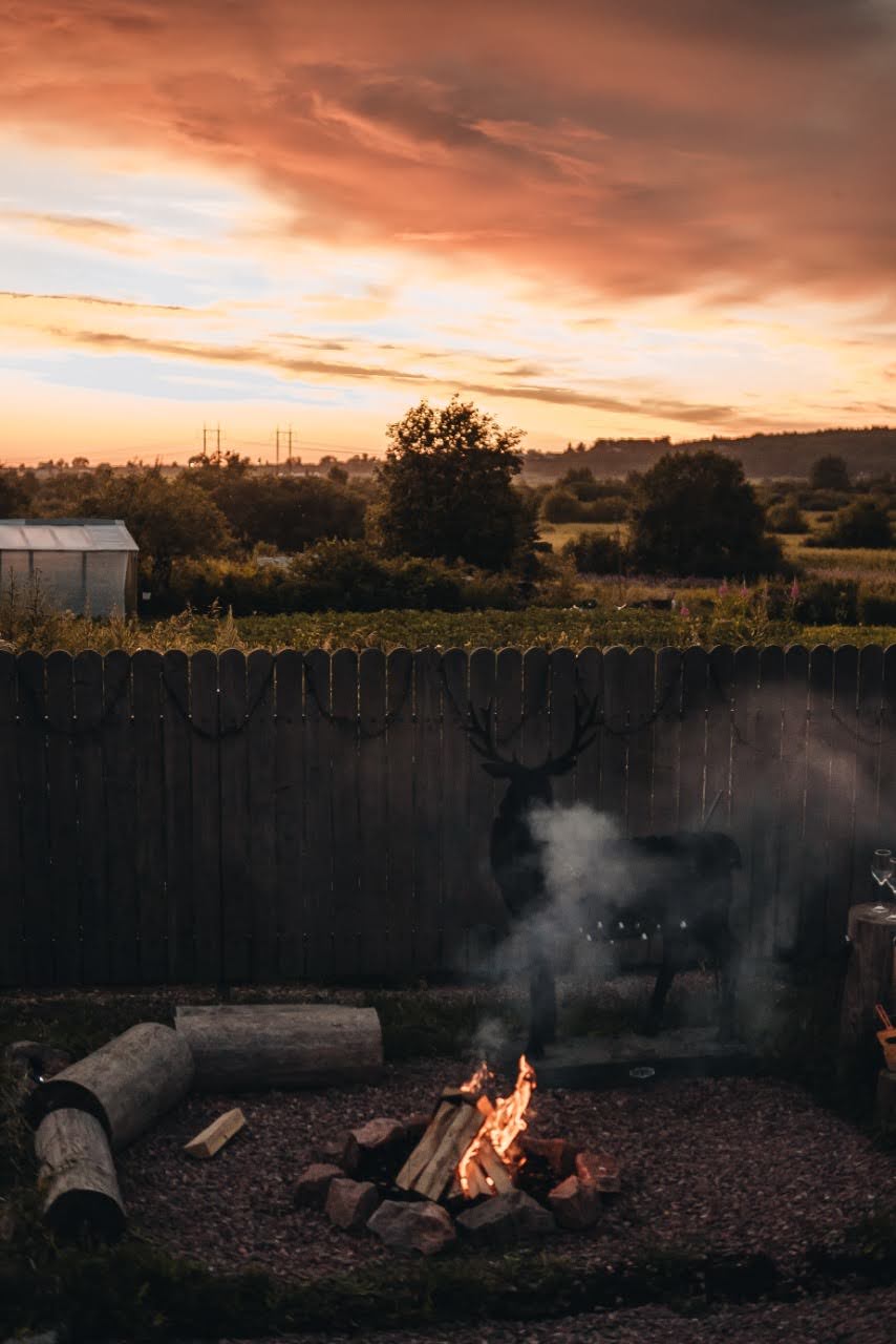 Фото Лиса в шалаше
