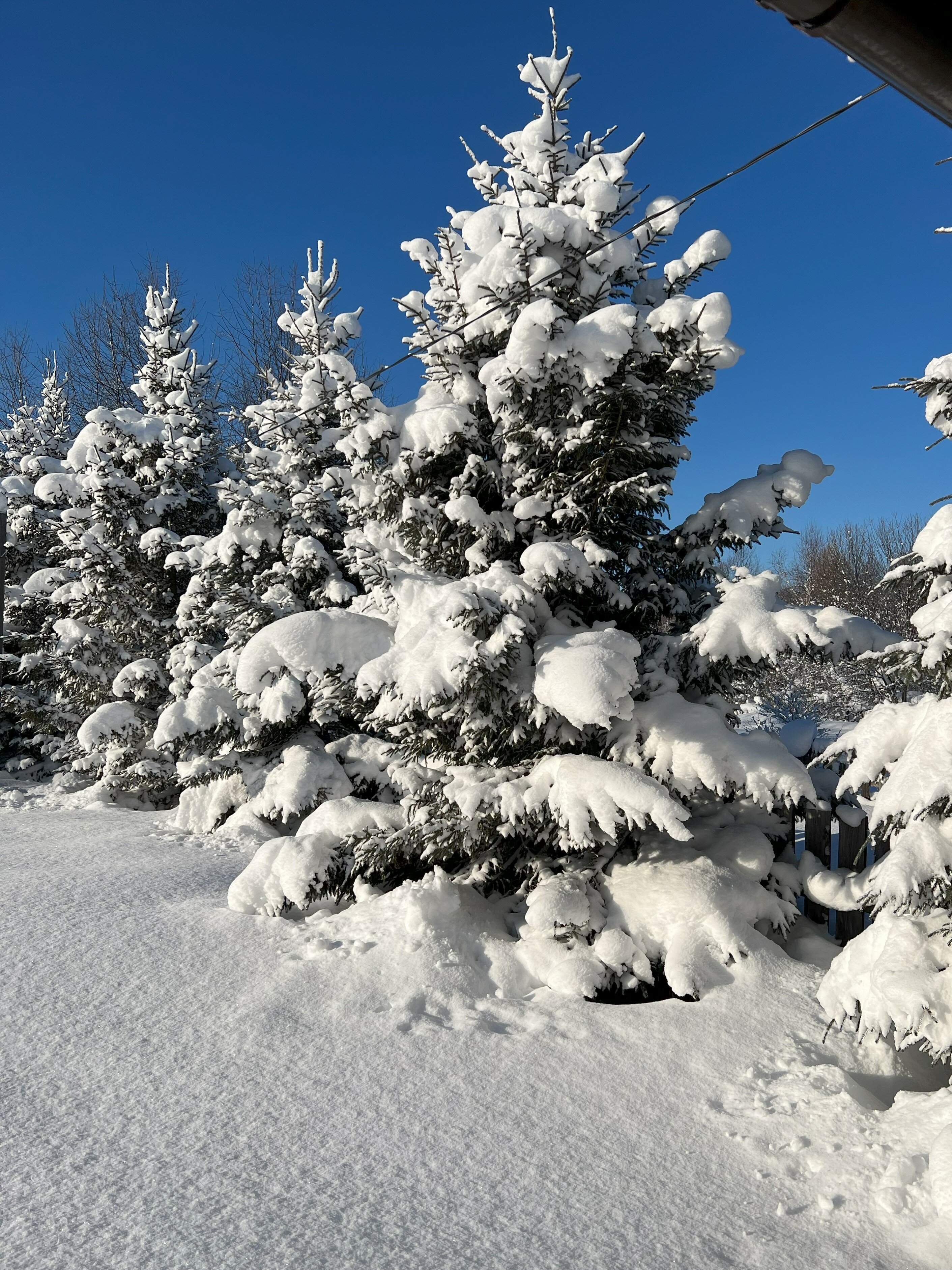 Фото ‎Выдринка