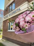Dom florista (ulitsa Khrennikova, 6) ، محل زهور