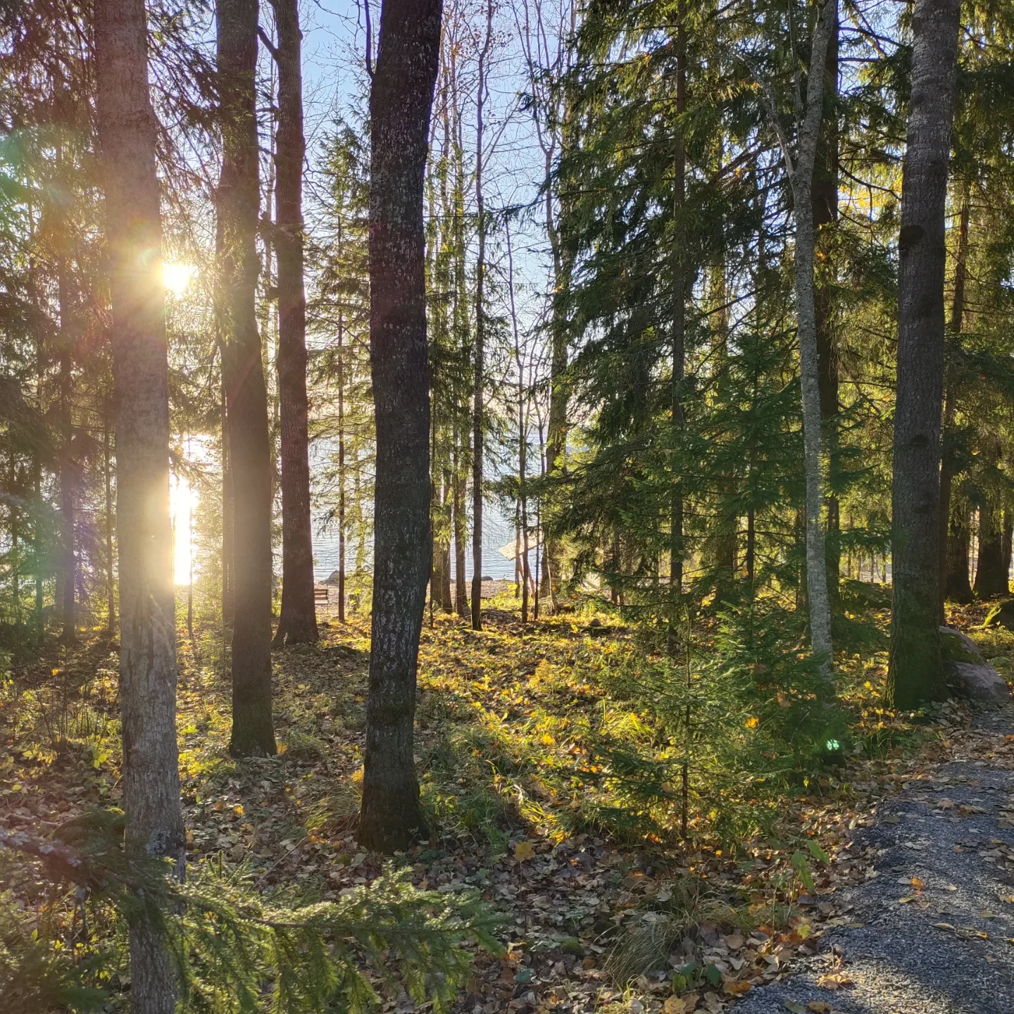 Фото Времена Года