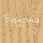 Береста