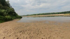 Атарская лука Поющие пески (Kirov Region, Lebyazhskiy munitsipalny okrug), naturaleza