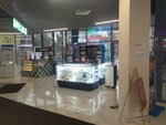 Phone Repair (ulitsa S.P. Popova, 21Б) ، تصليح الهواتف
