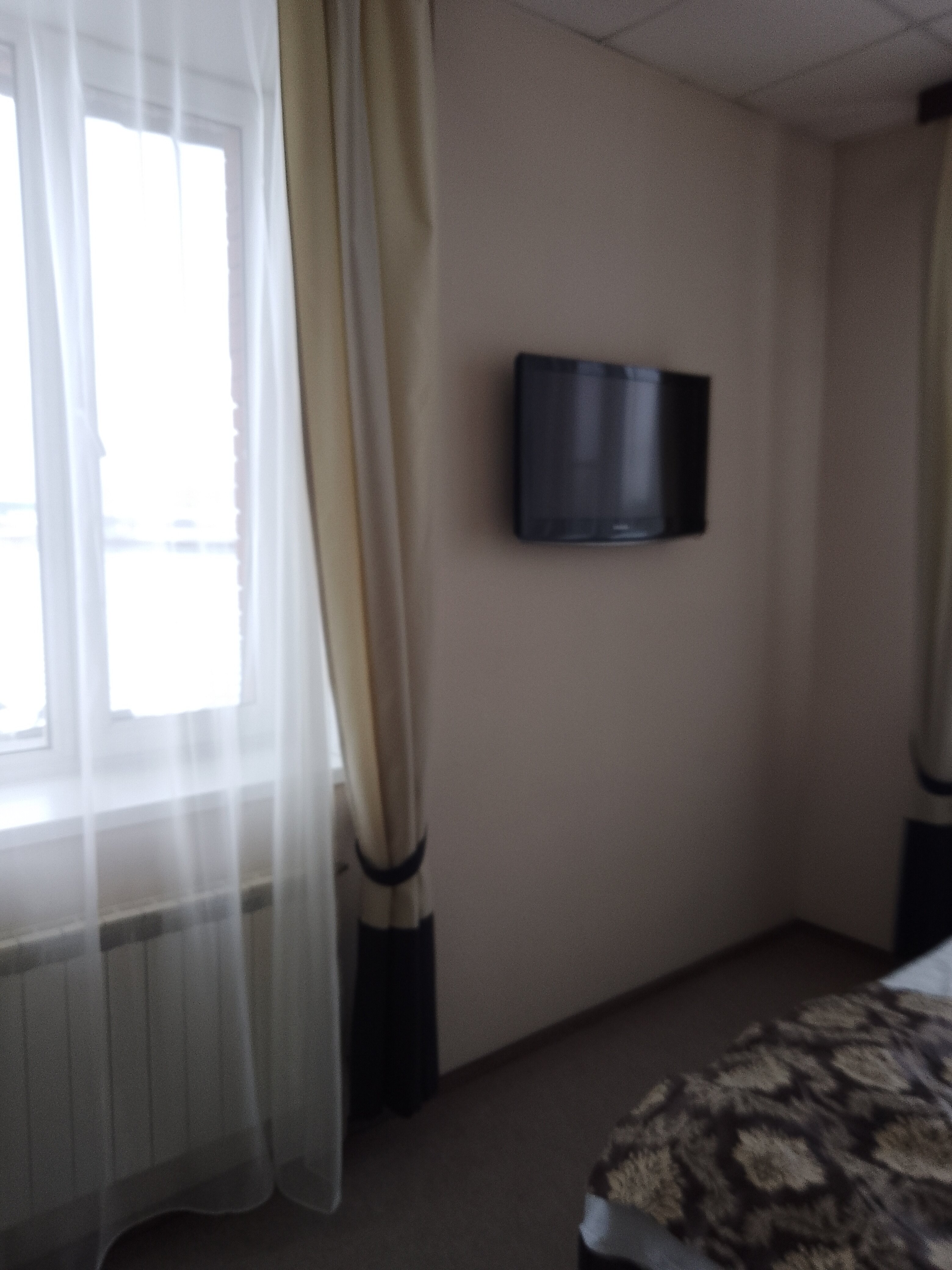 Фото Ковчег