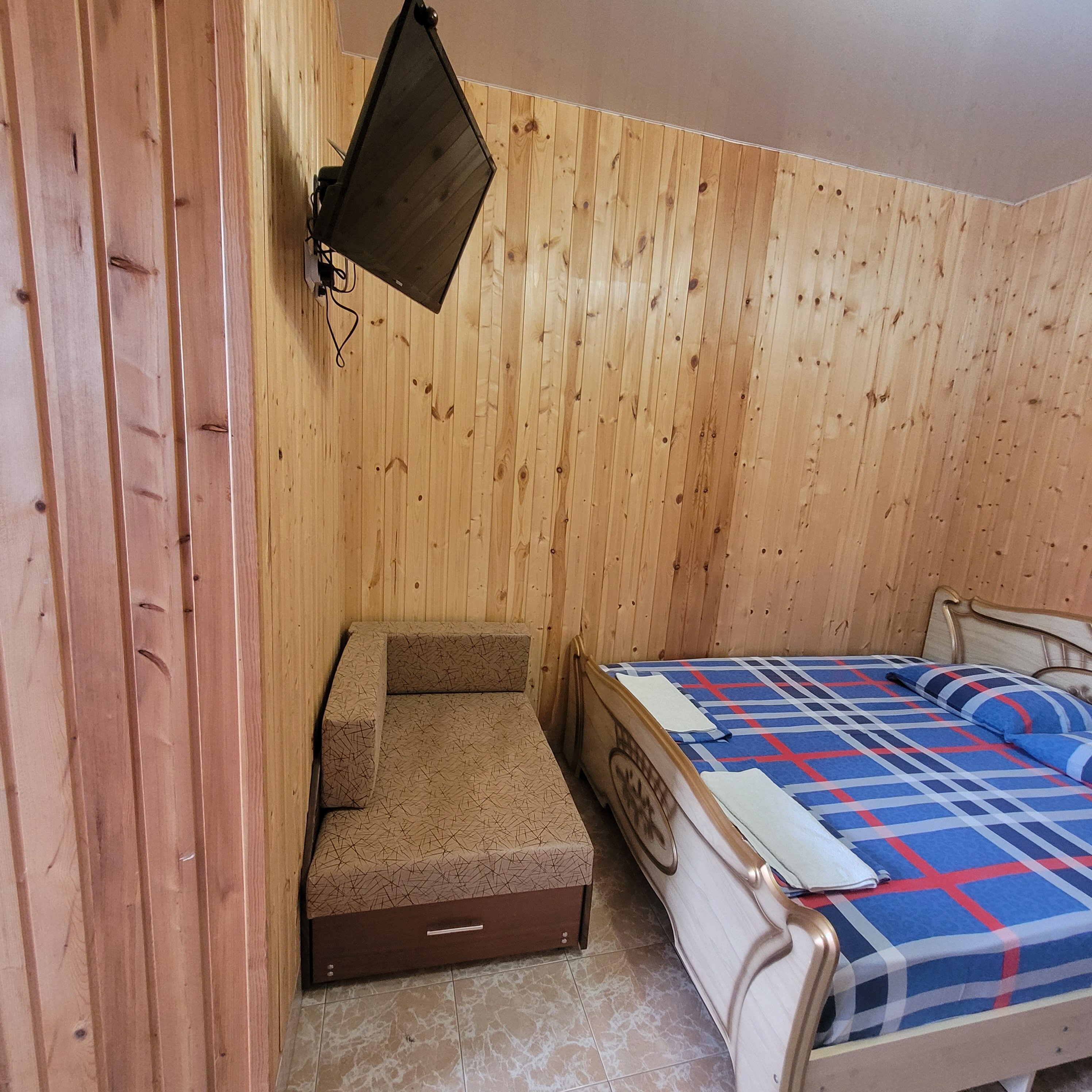 Фото Орхидея