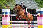 Rezonans Riding school (Moscow, 2nd Luchevoy Glade, 5с5), horse riding