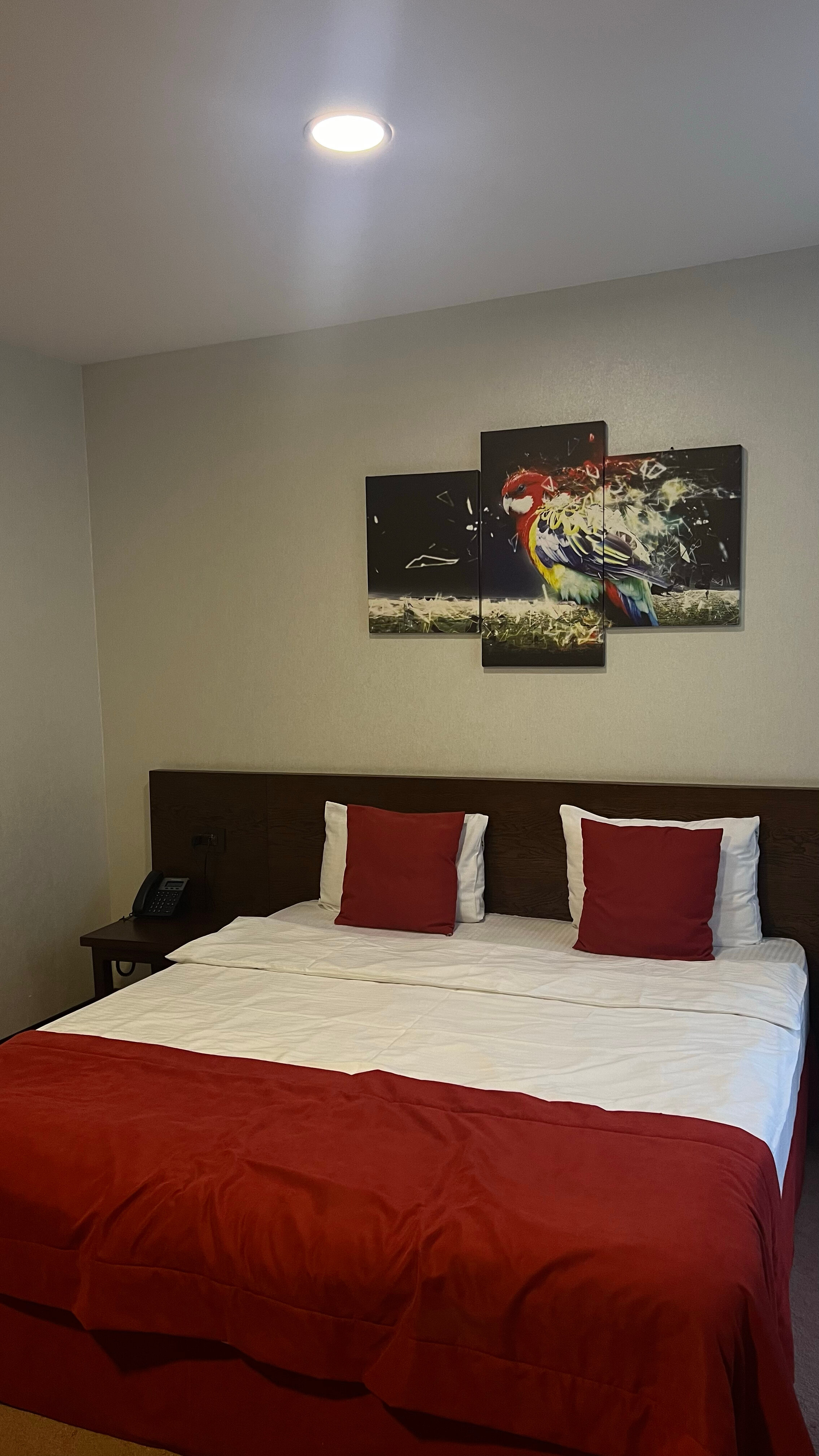 Фото Da Vinci Hotel