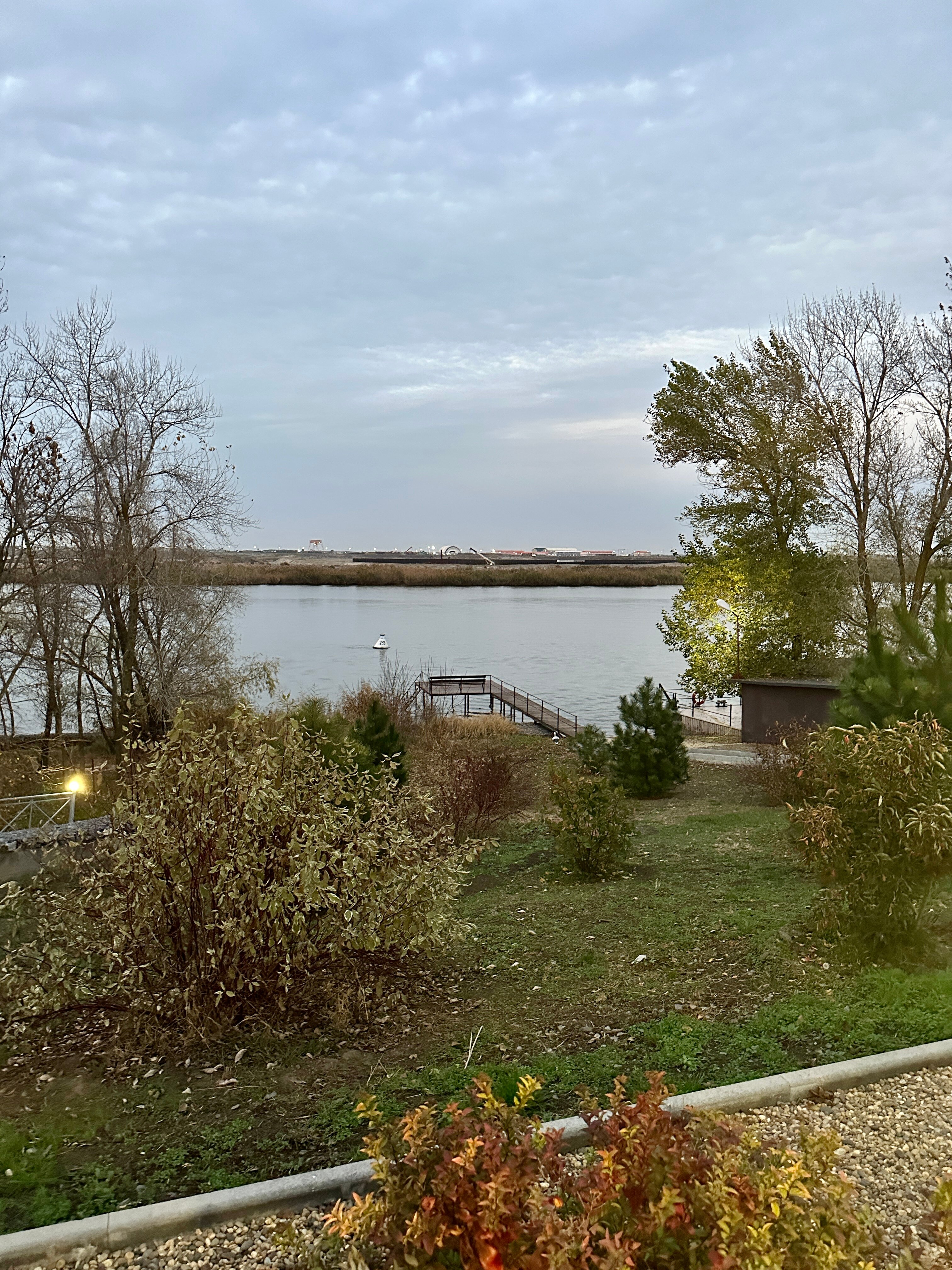 Фото Фазаново