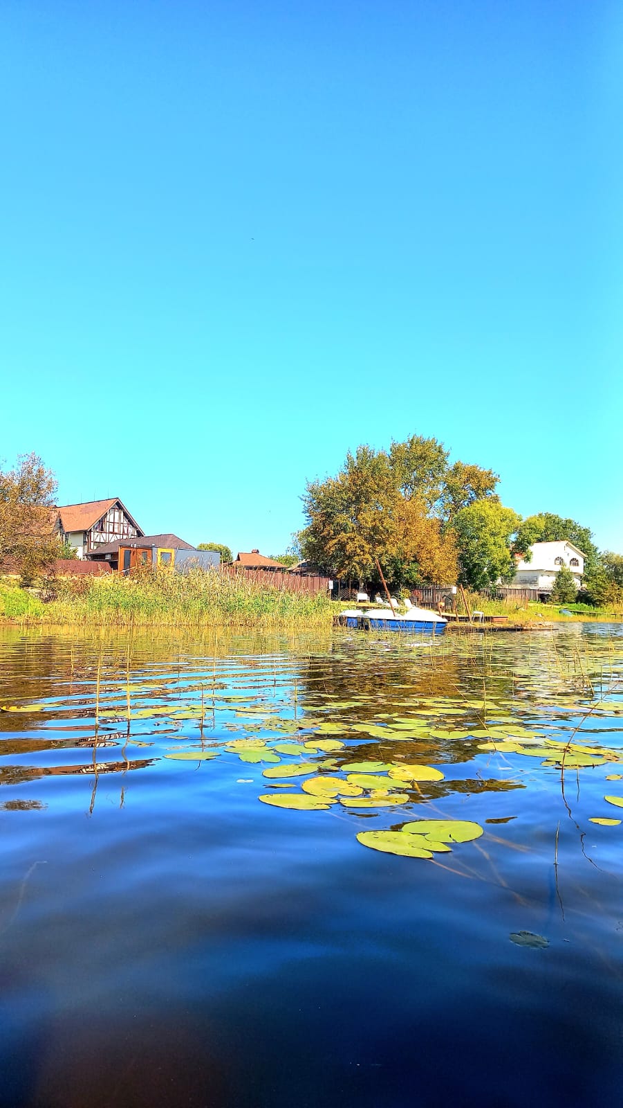 Фото Носороги