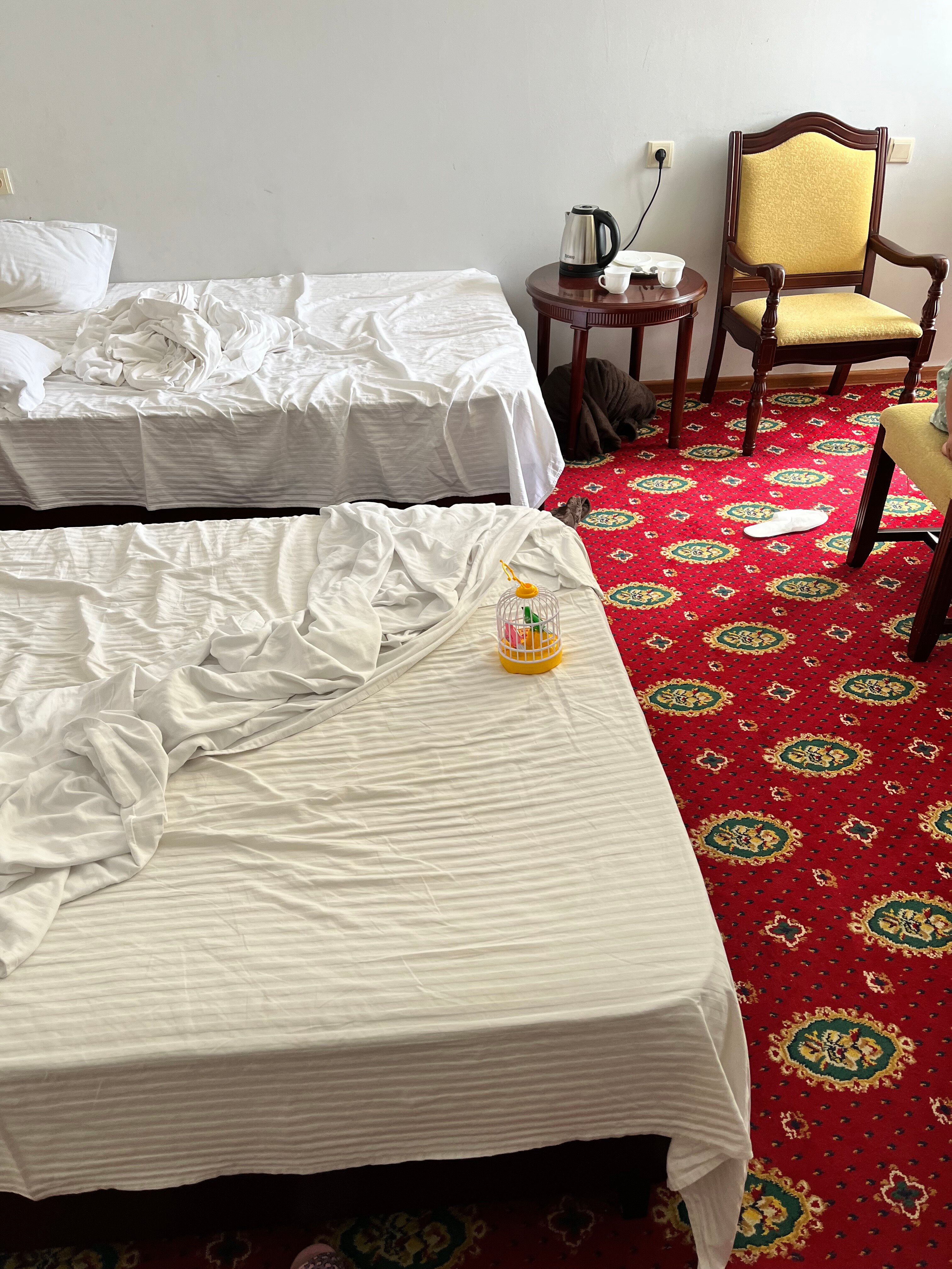 Фото Лунный берег