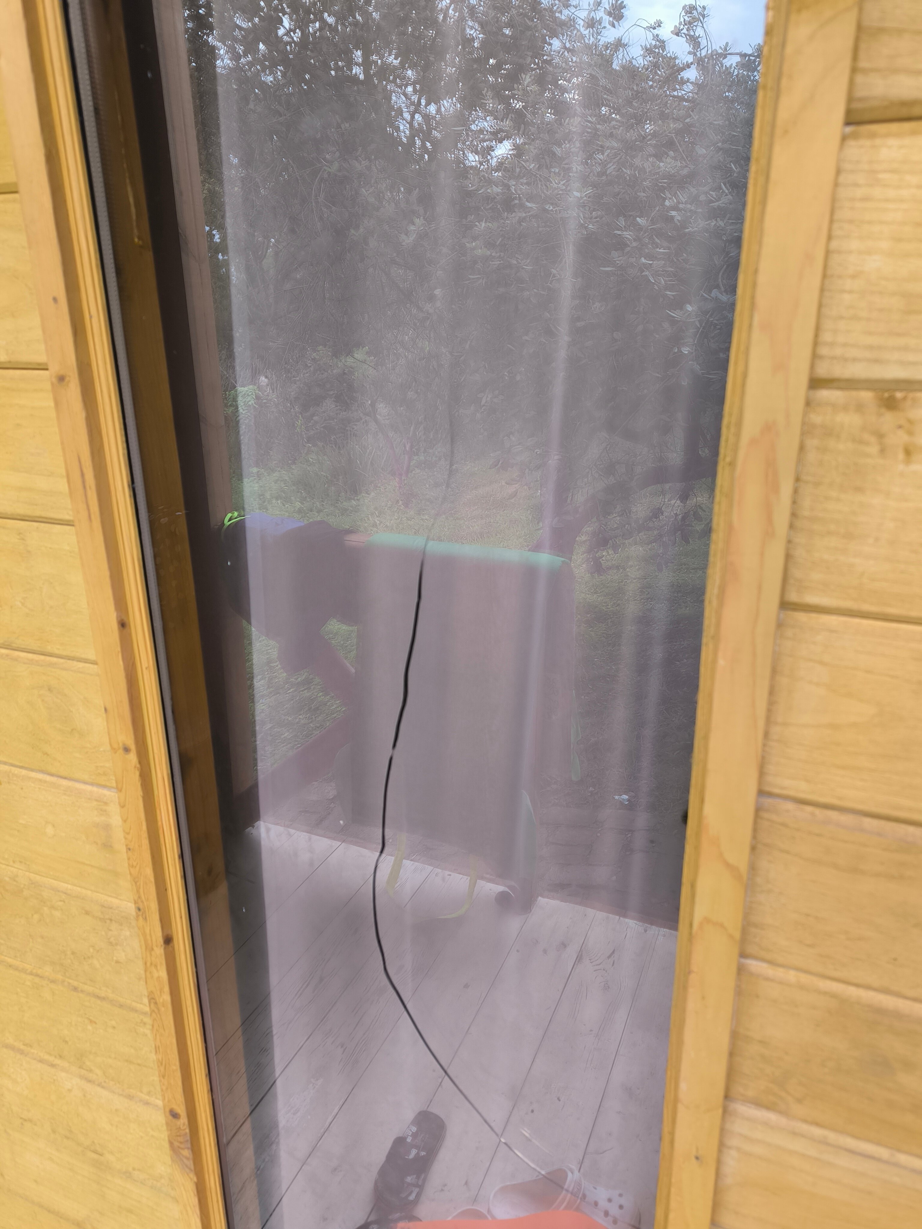 Фото Феникс