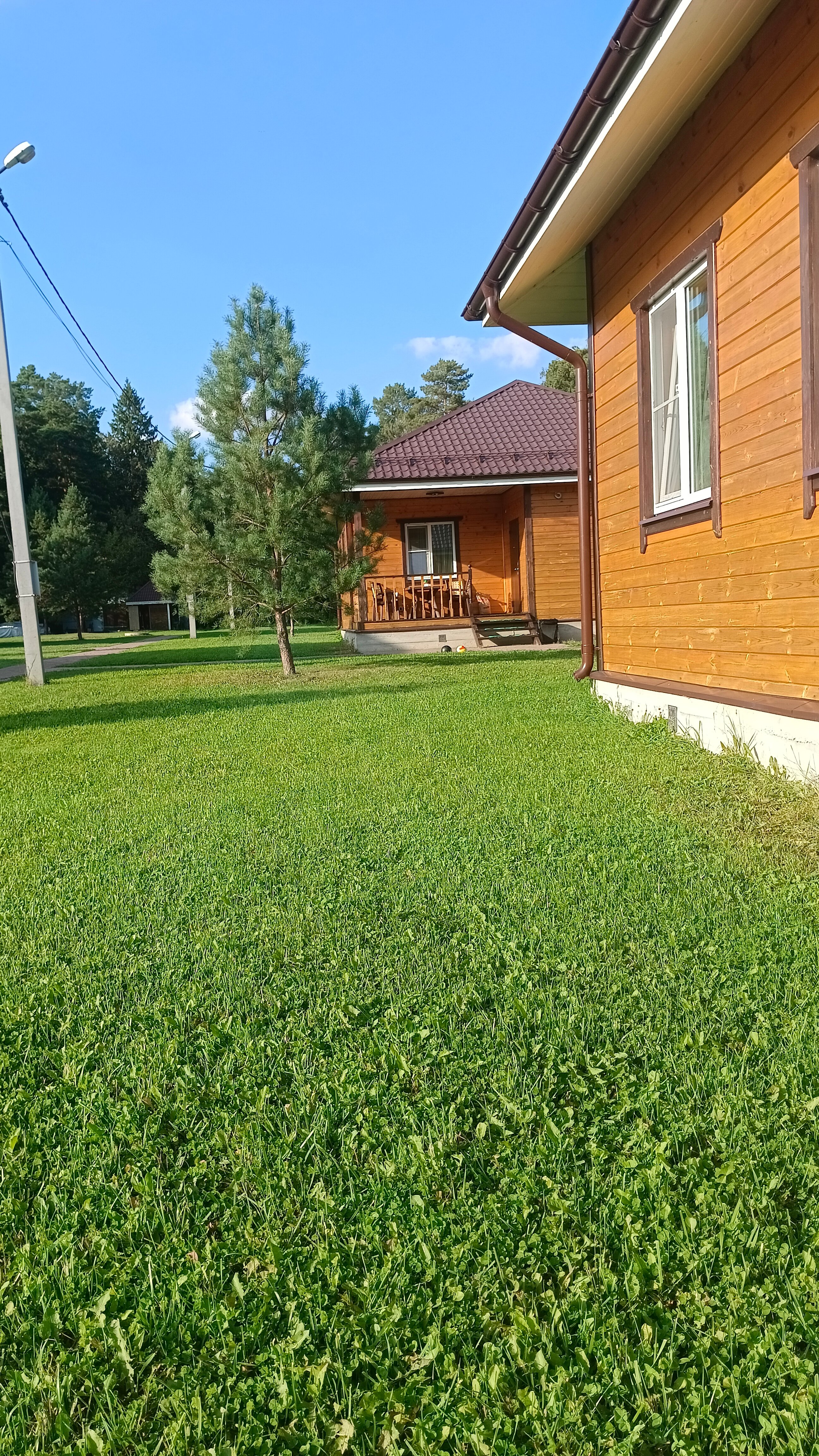 Фото Лесные поляны