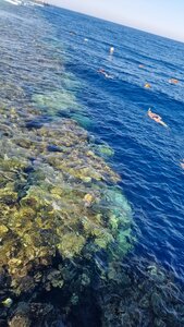 Гостиница Rixos Sharm El Sheikh