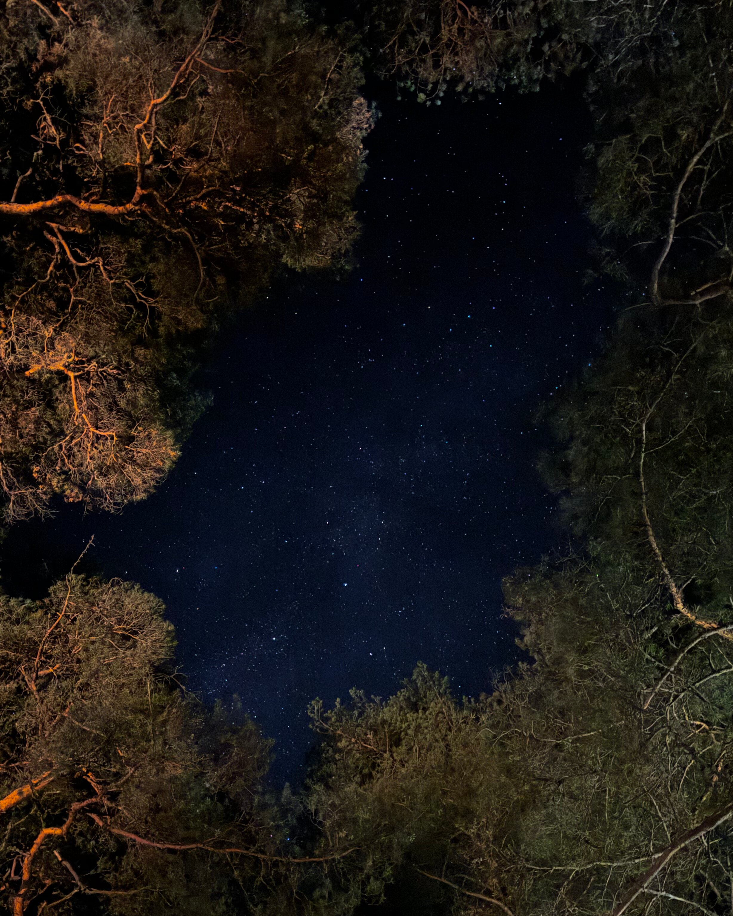 Фото Cube for travel