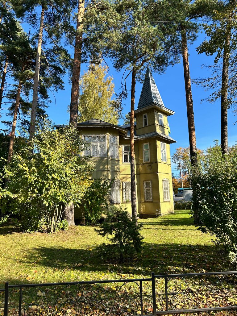 Landmark, attraction Дача на Холмистой нач. XX века, Saint Petersburg, photo