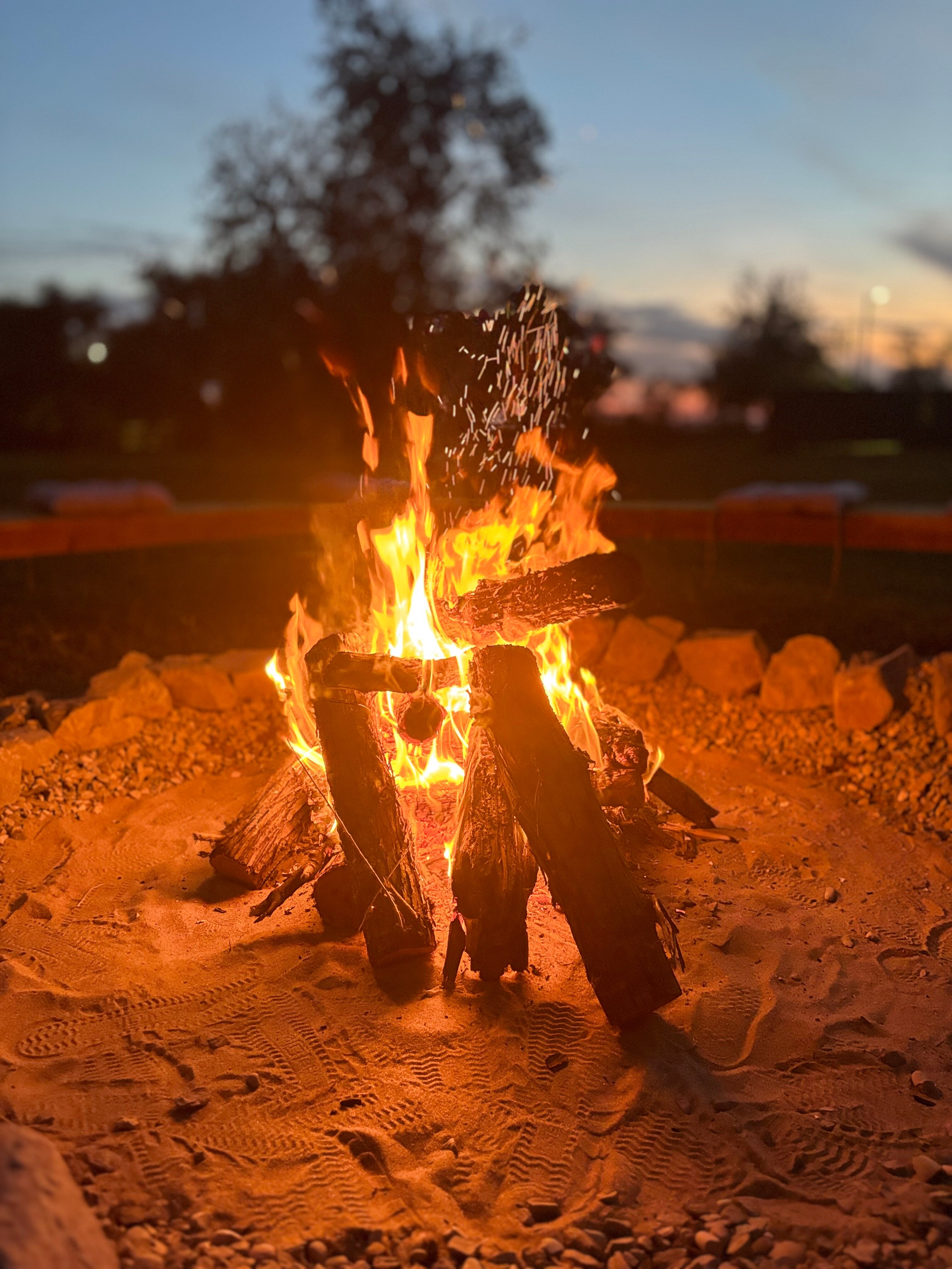 Фото Загородный парк Баклушино