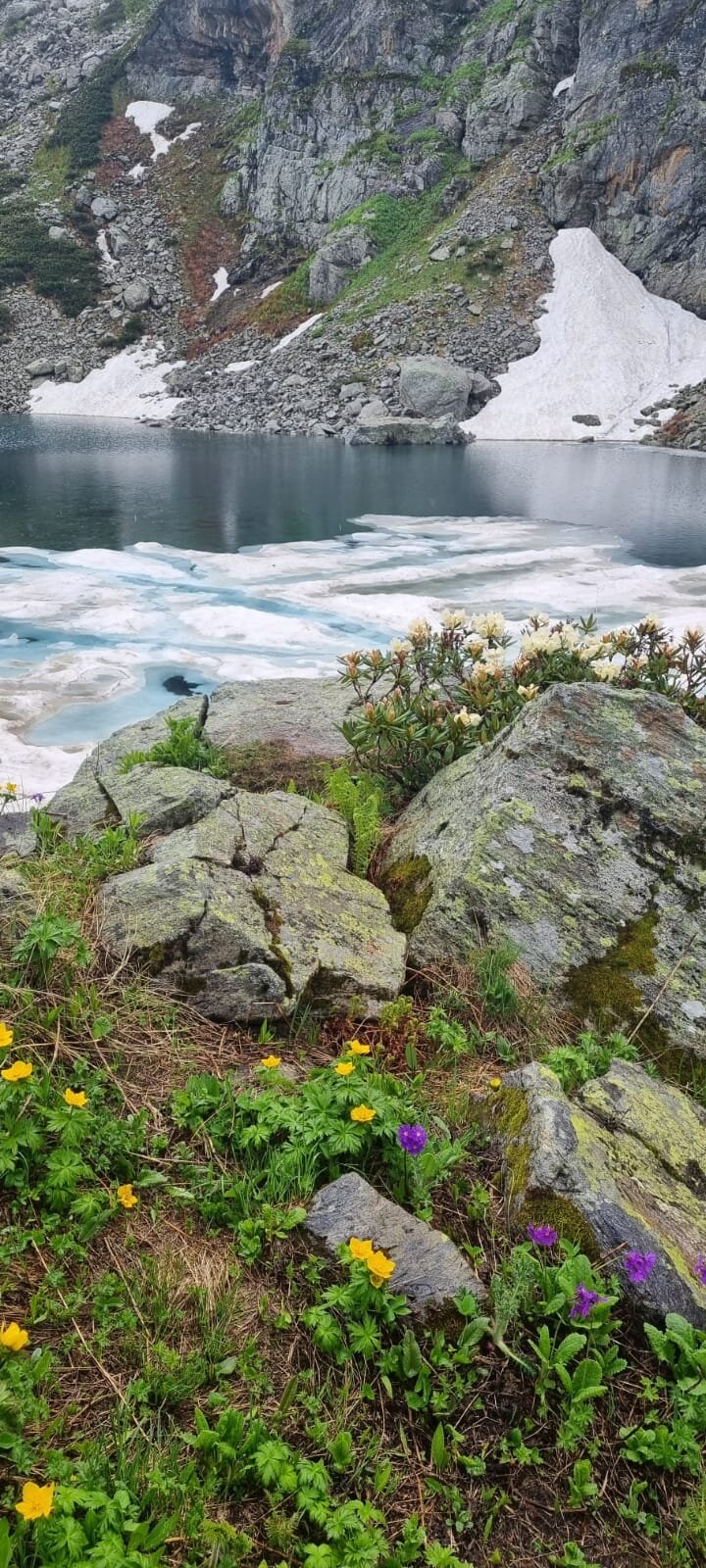 Фото Белый волк
