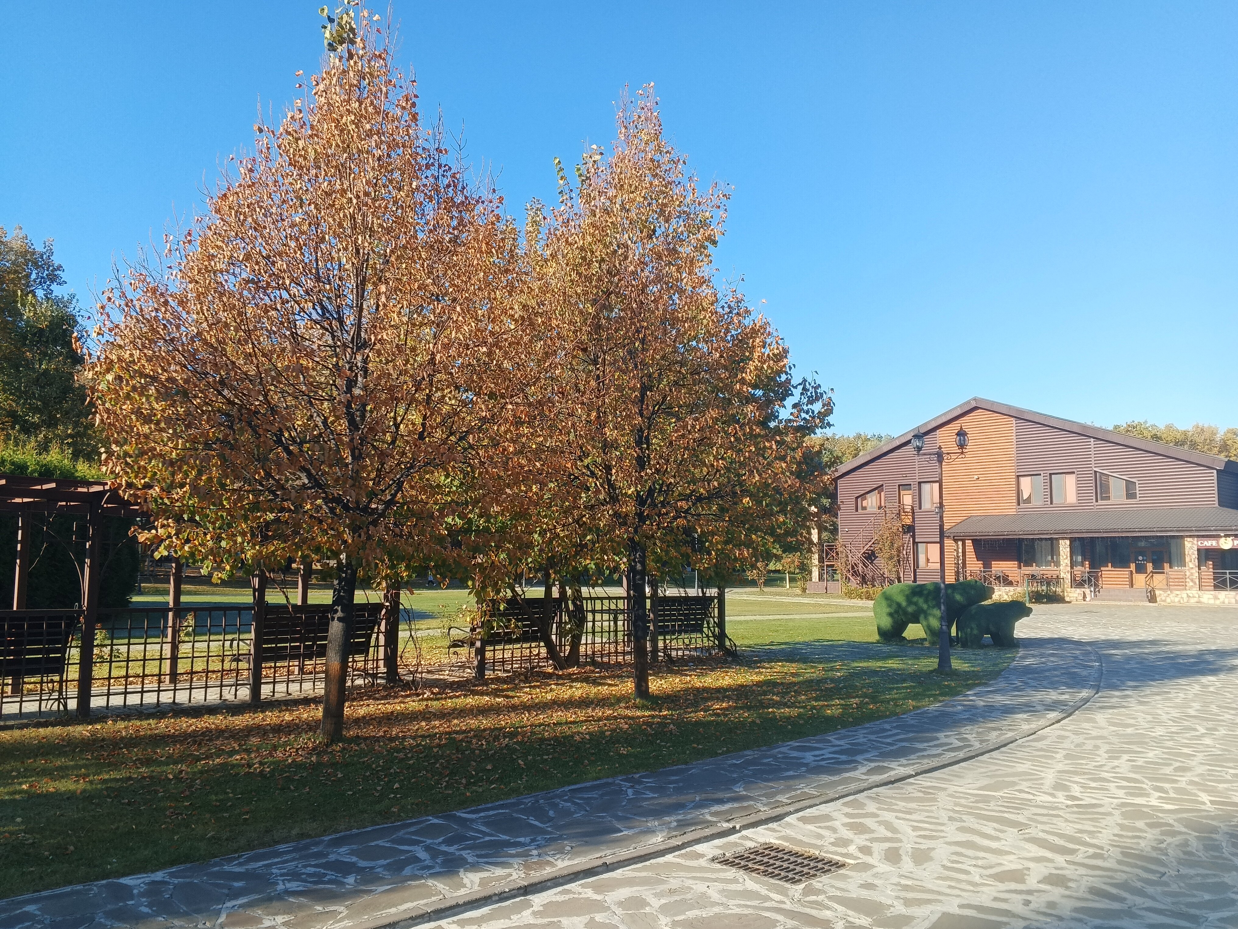 Фото Васильевский