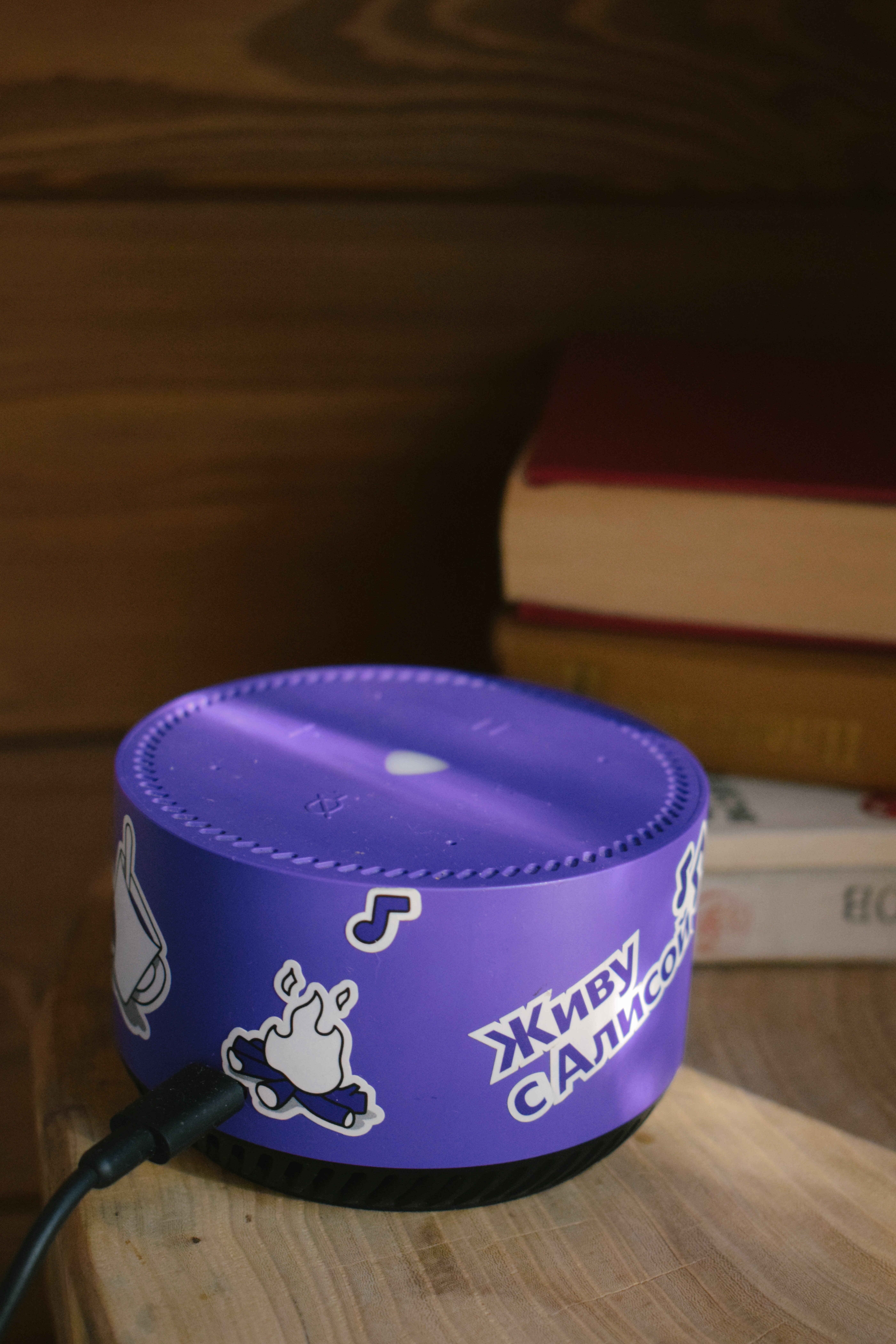 Фото Ёлки да Сосны