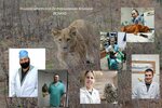 Vshizo University Veterinary Clinic (Entuziastov Highway, 1), veterinary clinic