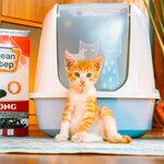 Set Production (Antalya, Muratpaşa, Güzeloba Mah., 2241. Sok., 4), producer center