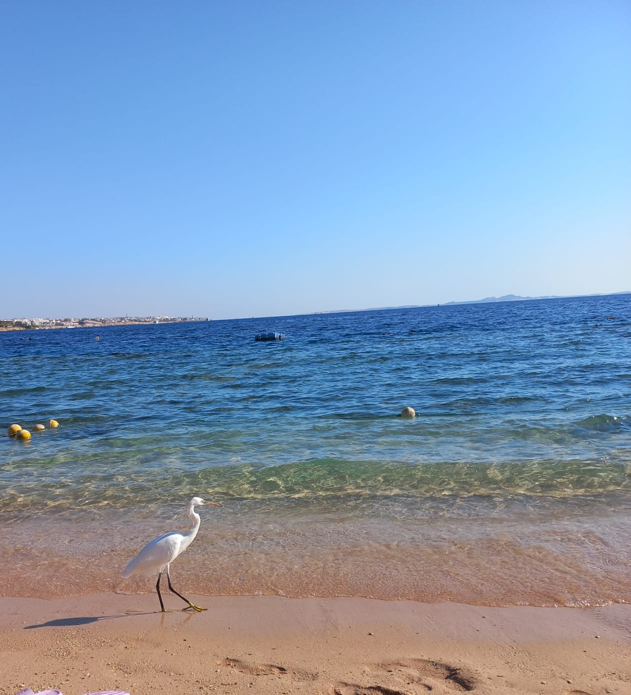 Фото Xperience Sea Breeze Resort