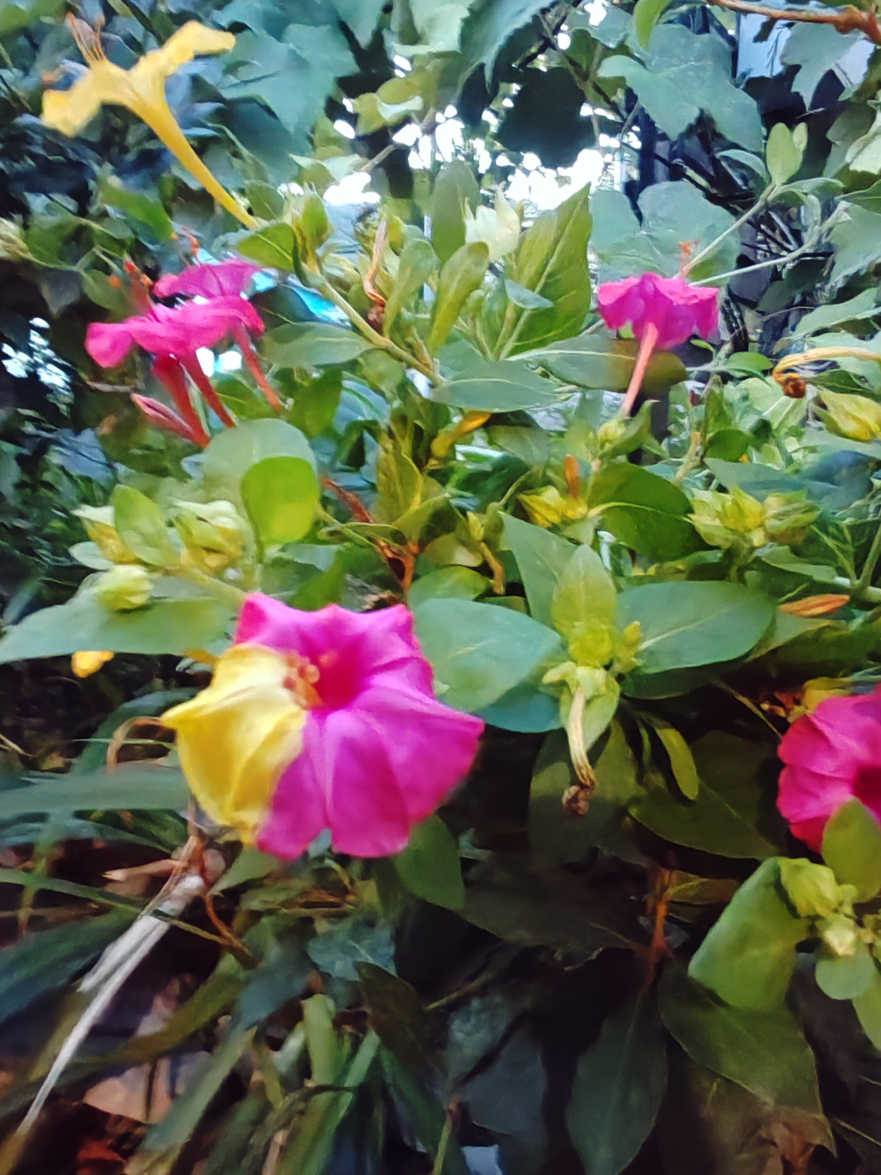 Фото River hotel