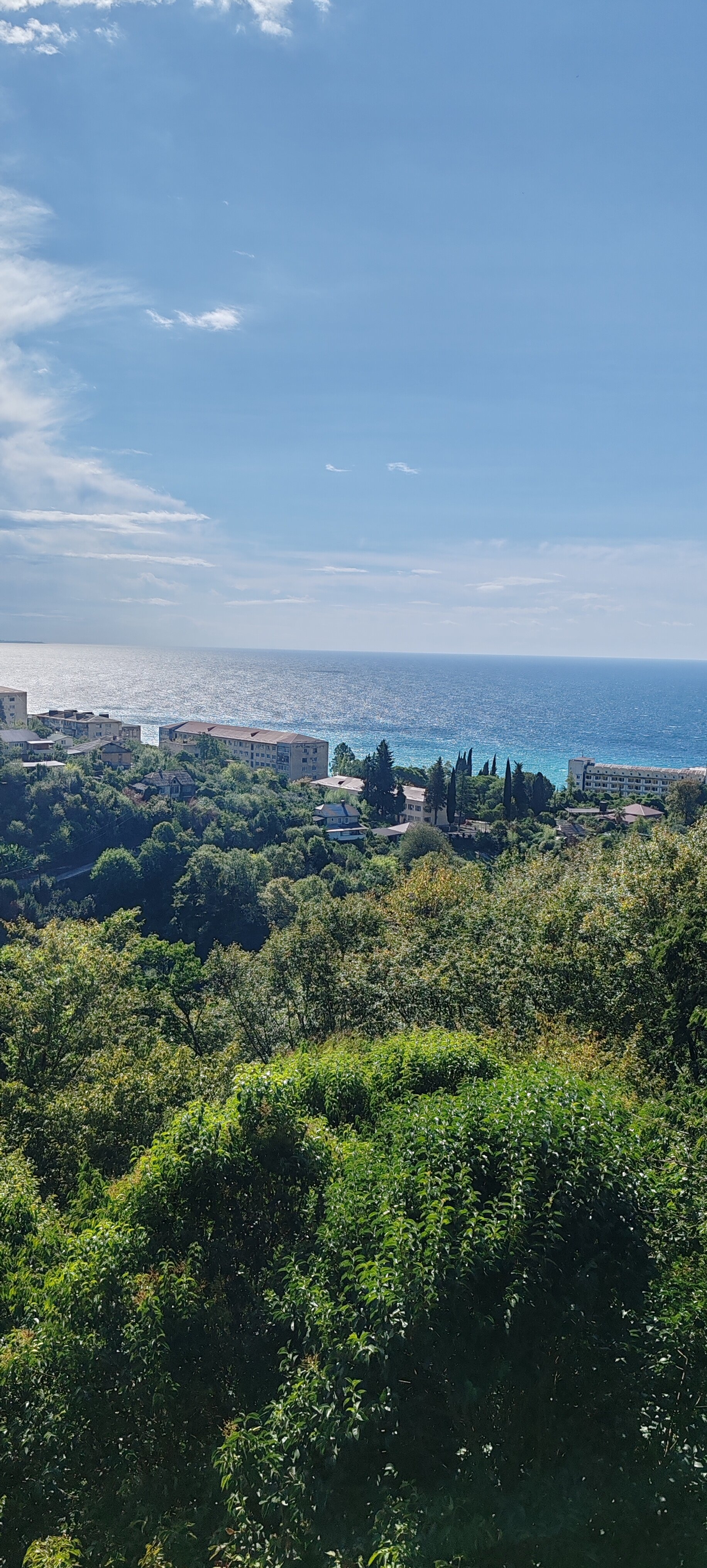 Фото River hotel