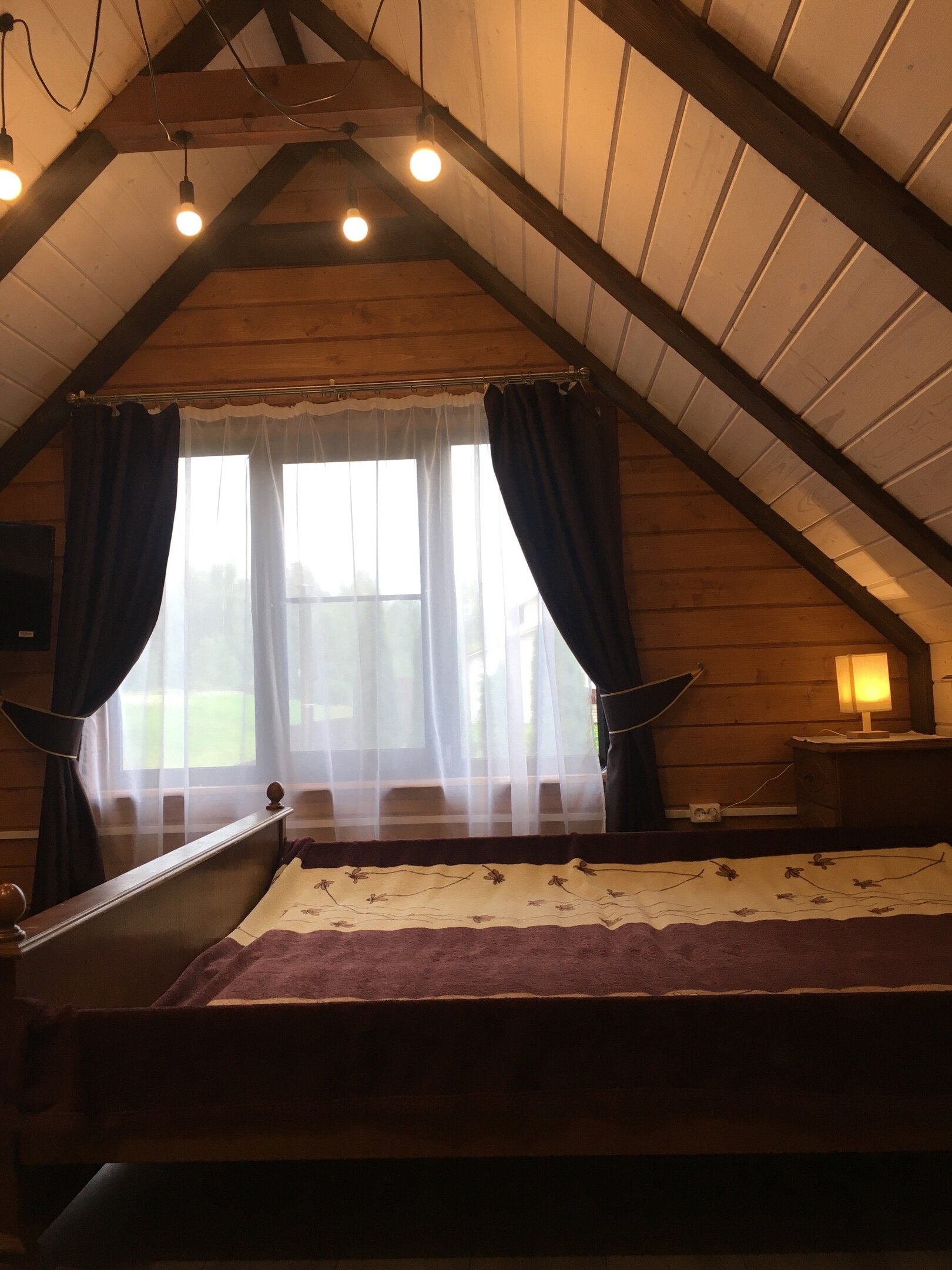 Фото Елки-палки