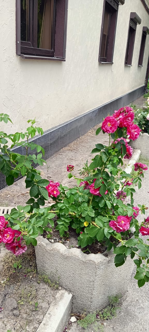 Фото Доходный дом на Яснополянской