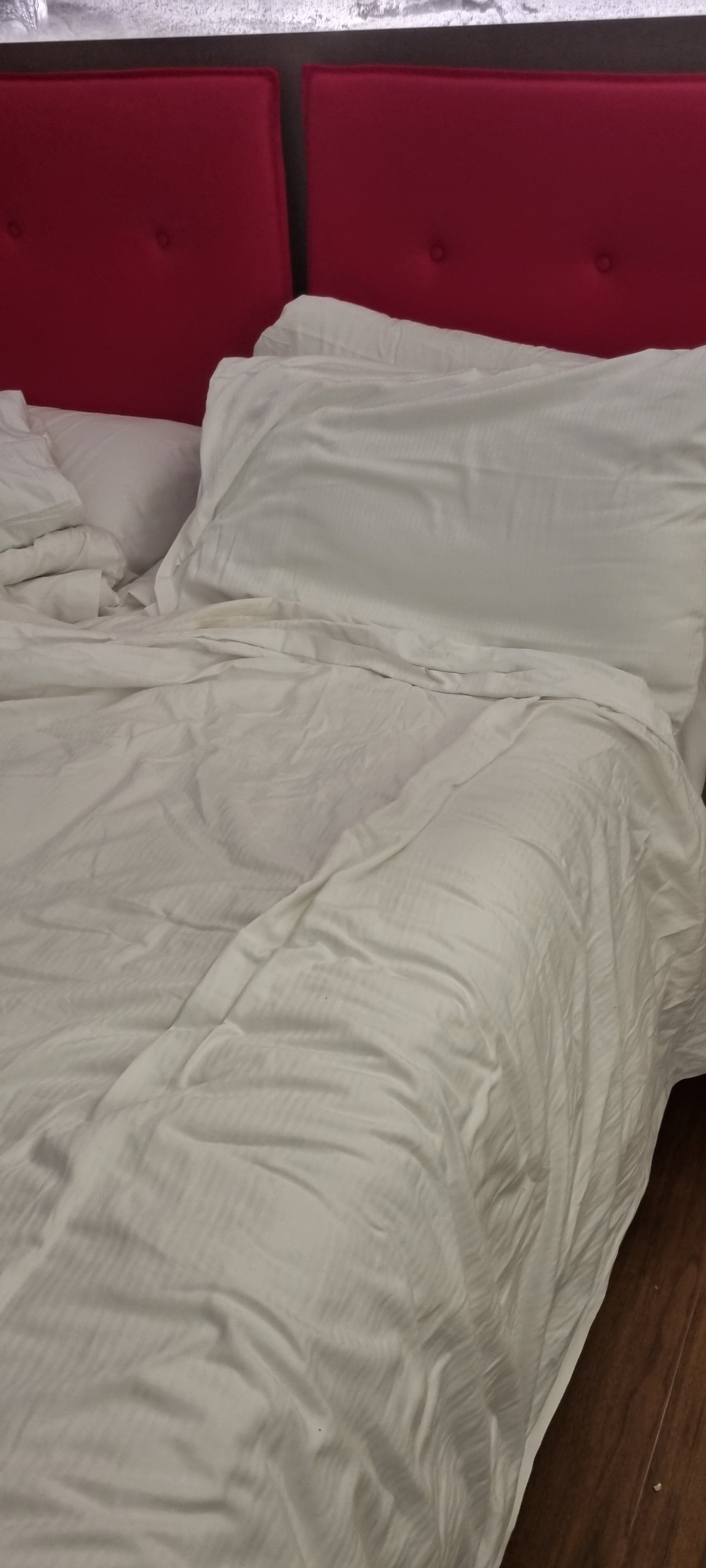 Фото Amedia Milano, Trademark Collection by Wyndham