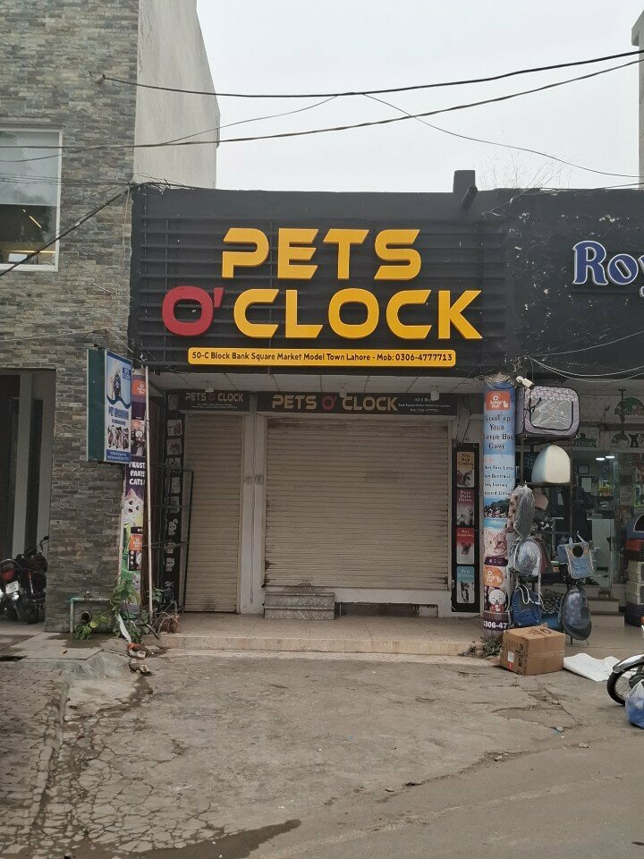 Pet shop Pets o clock, Lahore, photo