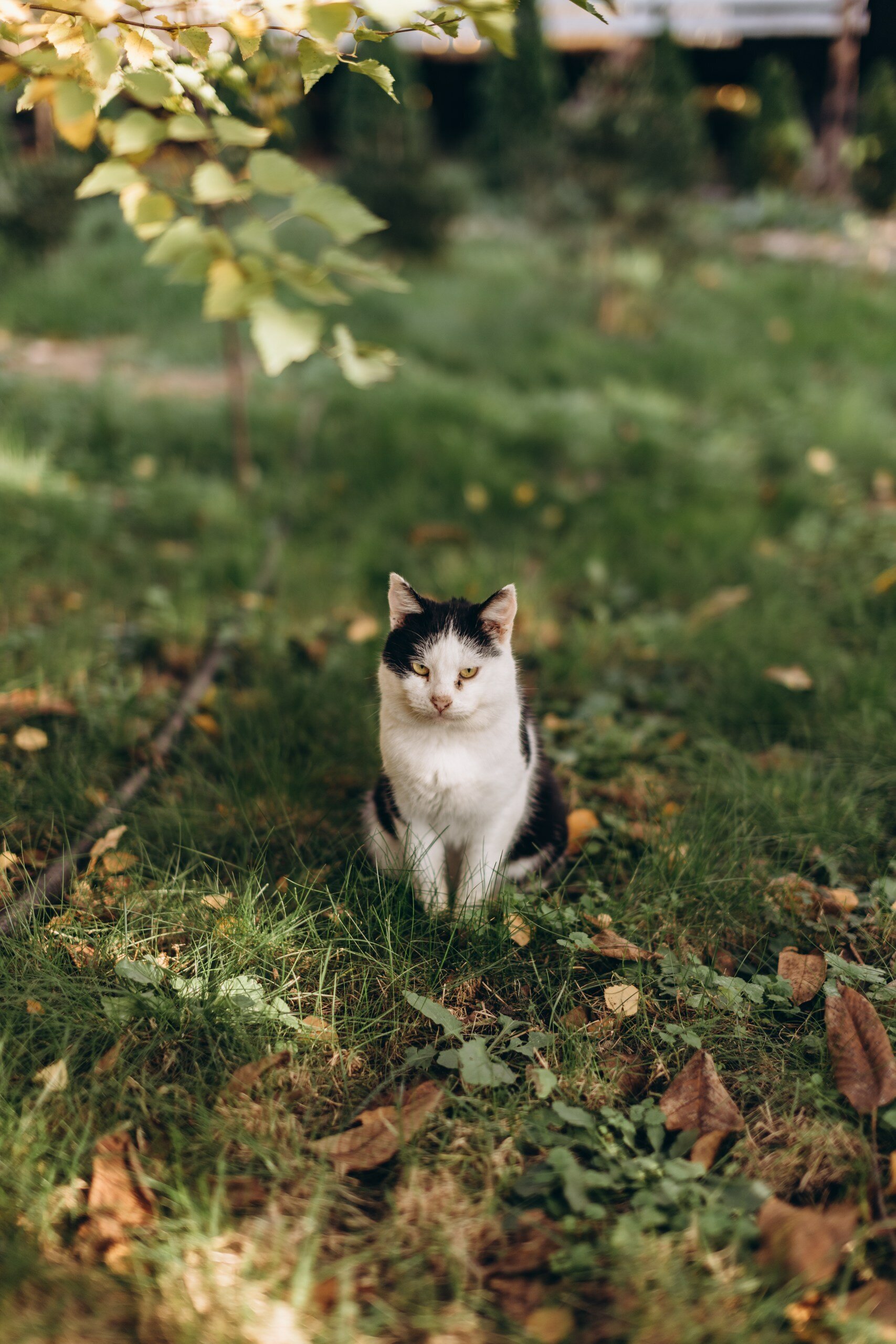 Фото Усадьба на Садовой