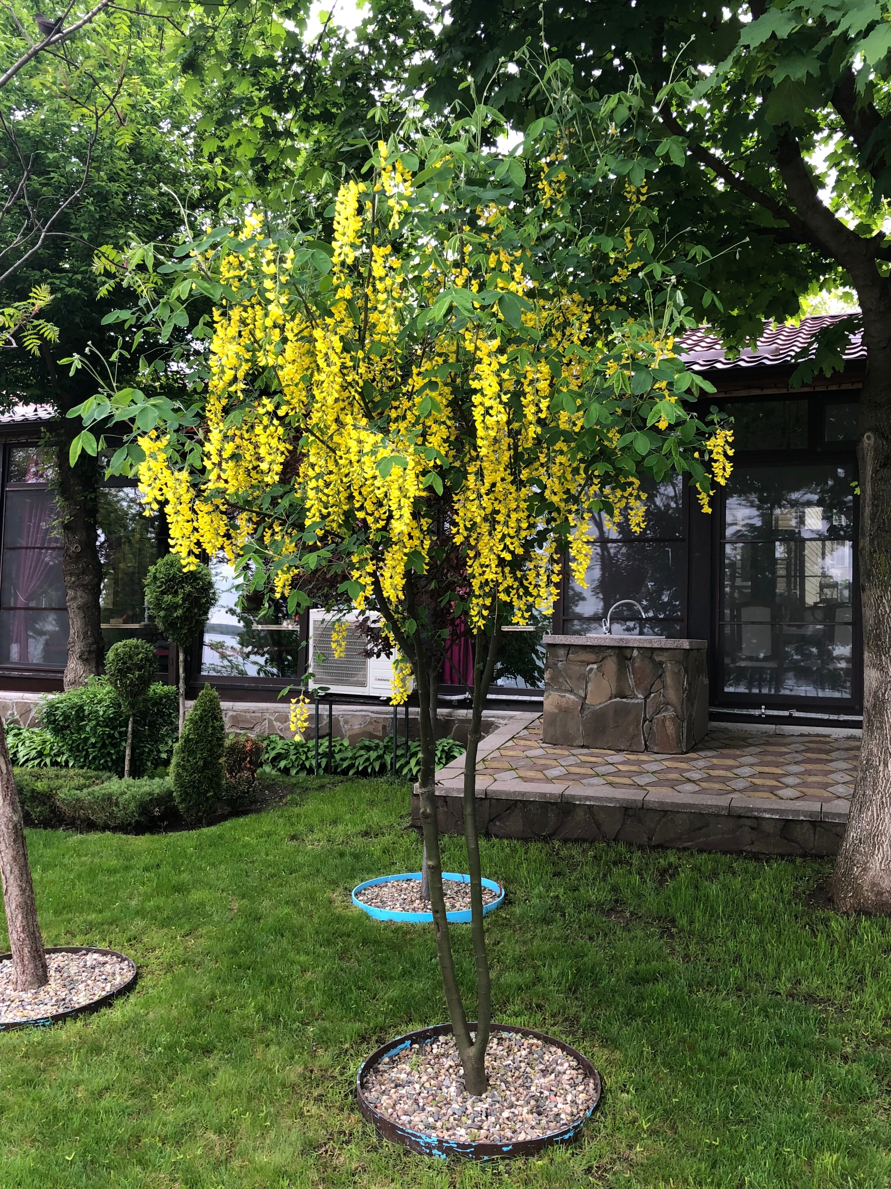 Фото Берег солнца