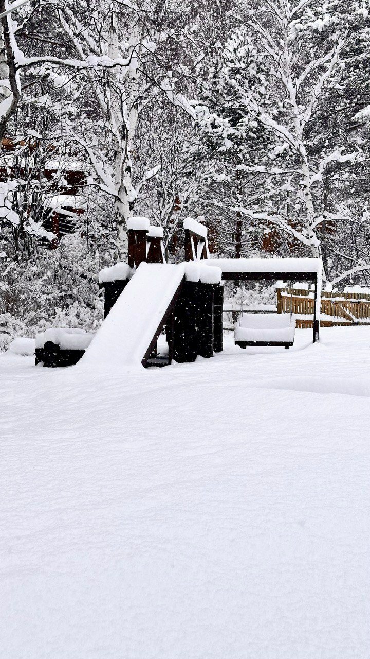 Фото Forest trail