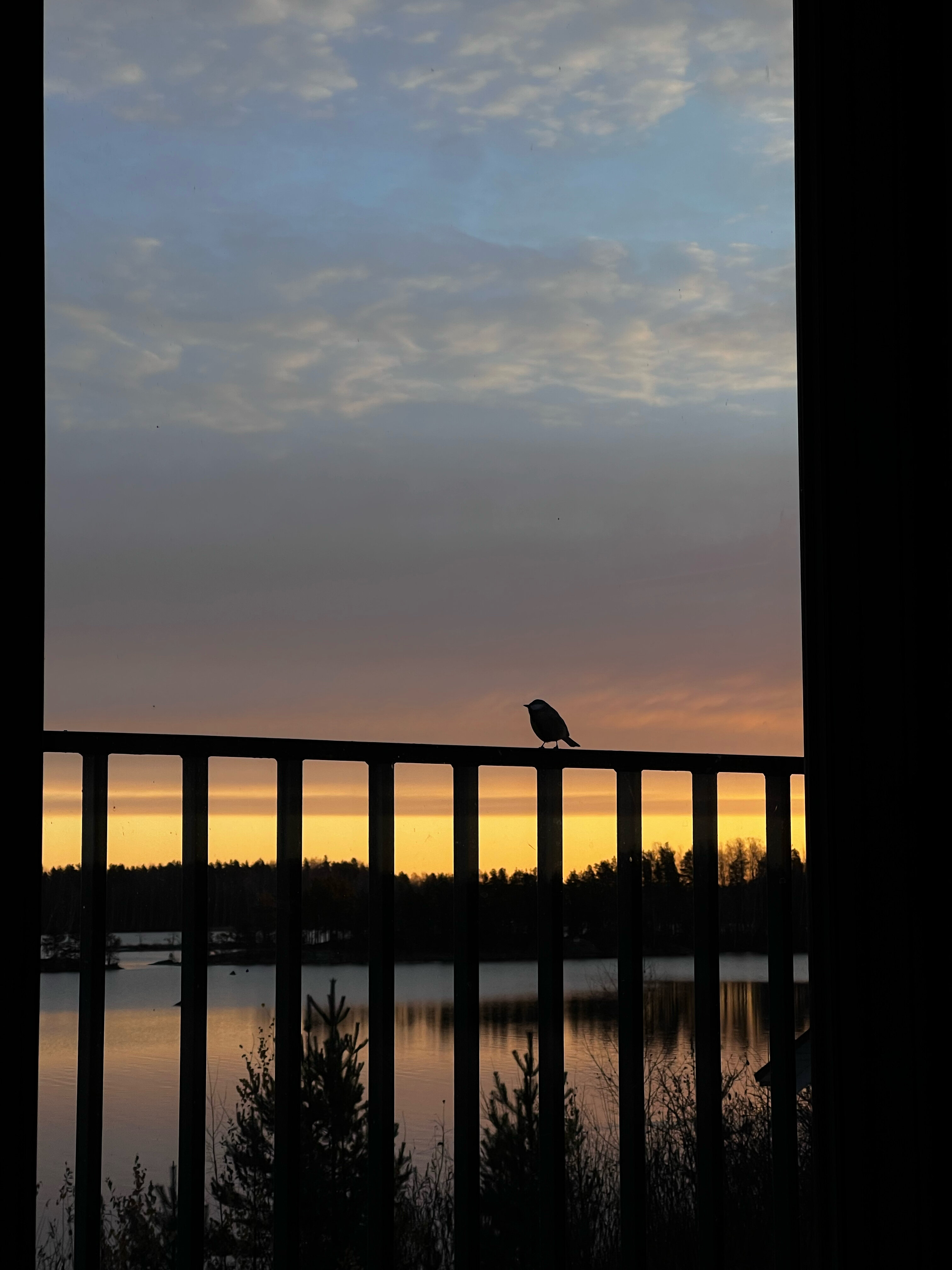 Фото Lambi Park Eco Hotel