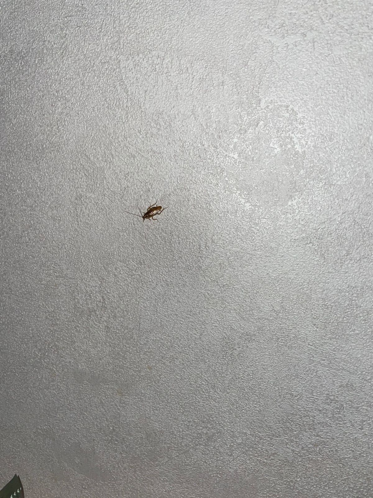 Фото Европа