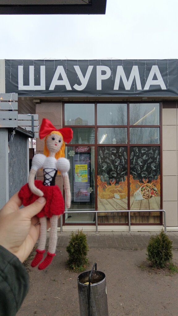Быстрое питание Шавунья, Орша, фото