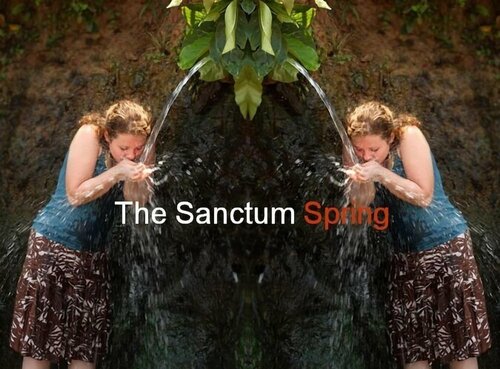 Гостиница Sanctum Spring в Варкале