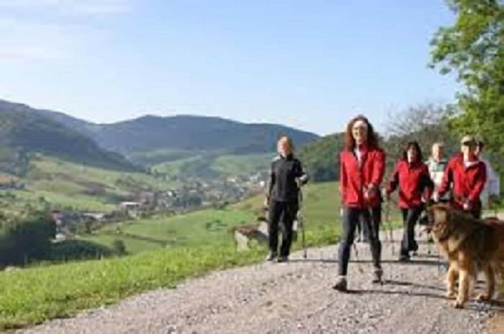 Фото Hotel an der Sonne