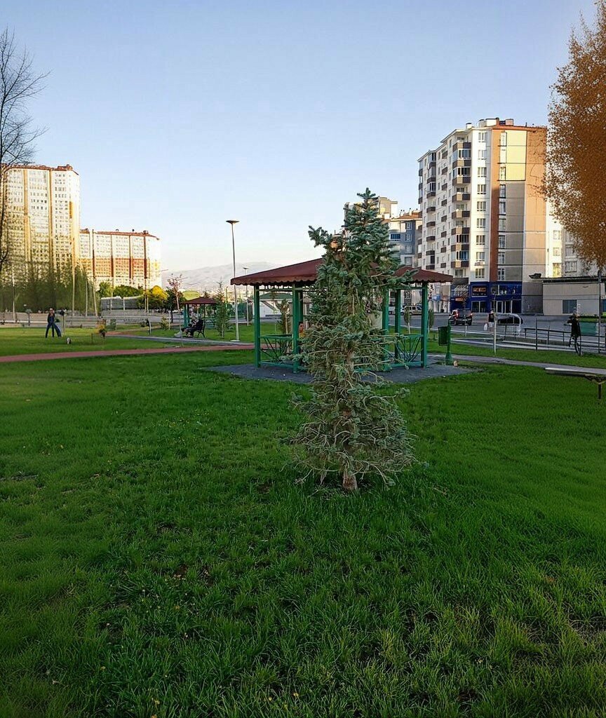 Park Urban forest, Kayseri, photo