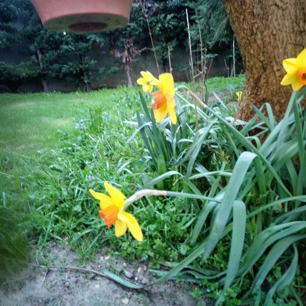 Emergency assembly area Guldeste Park, Bursa, photo