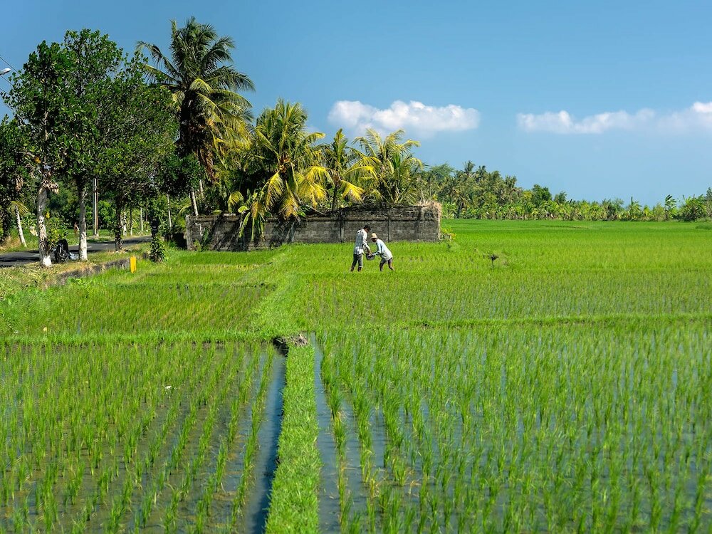 Фото Seseh Beach Villas