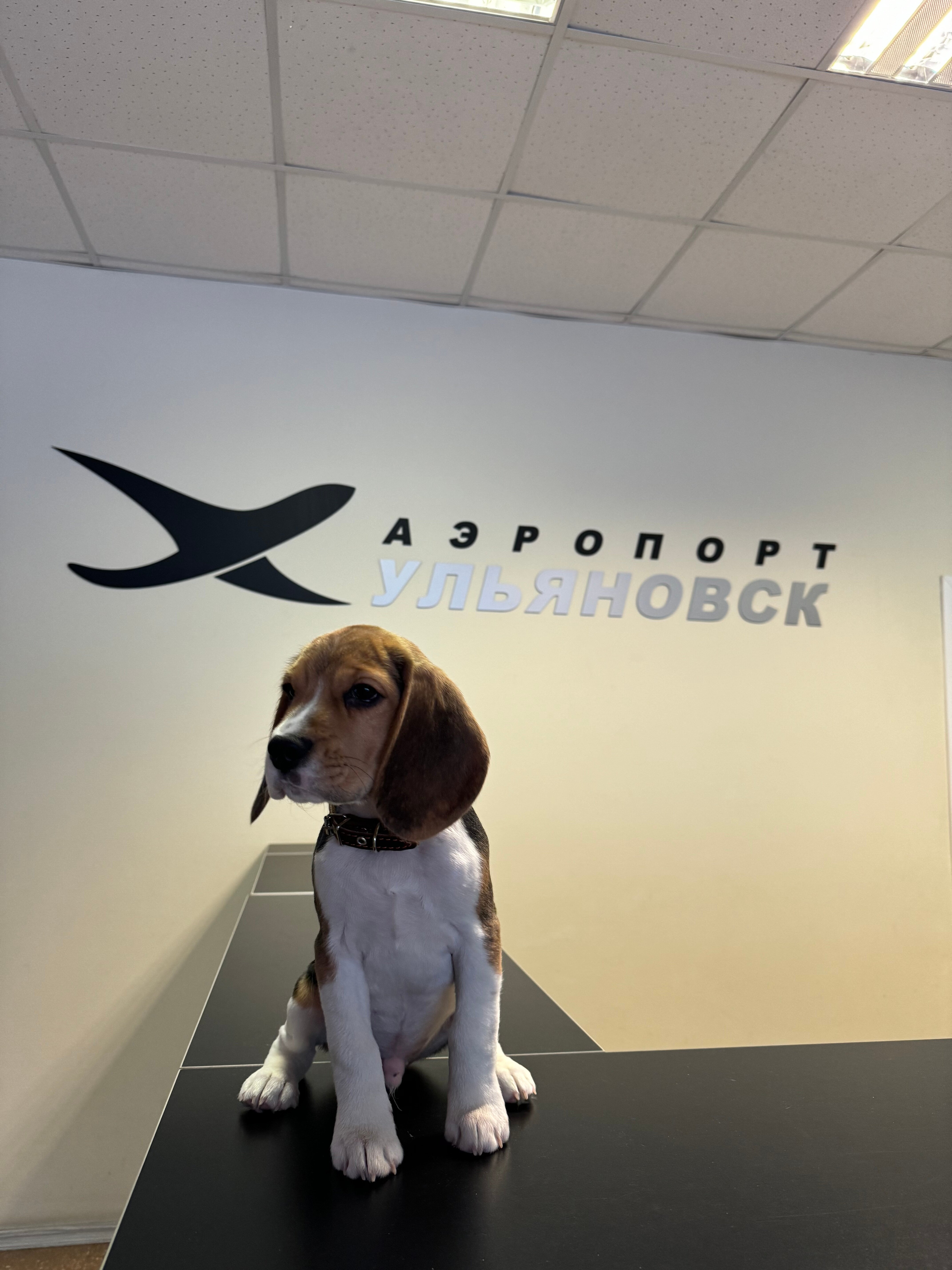 Фото Гостиница Аэропорт