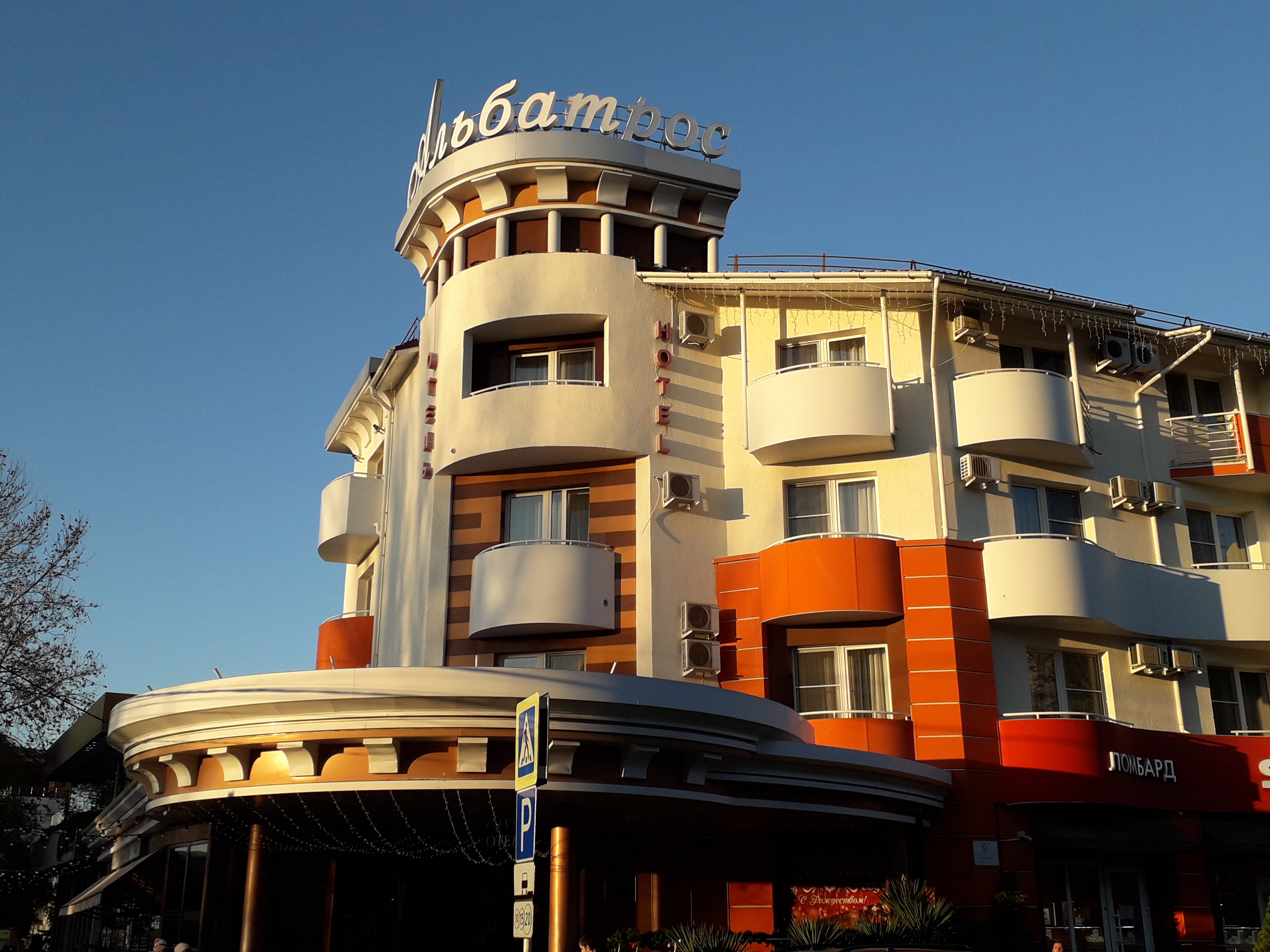 Фото Альбатрос